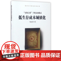 低生存成本城镇化(无知之幕下的未来模式)