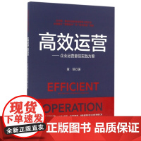 高效运营--企业运营最佳实践方案