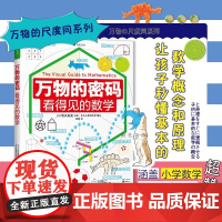 看得见的数理化系列[精装版全3册] 万物的尺度+万物的密码+万物的本源 数学科普书6-12岁儿童暑期数学认知启蒙读物