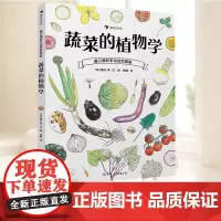 盛口满的手绘自然图鉴:蔬菜的植物学 儿童插图水彩水果谷物骨头科普百科绘本书籍 激发孩子求知欲 中国友谊出版公司