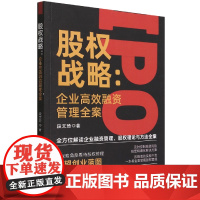 股权战略--企业高效融资管理全案
