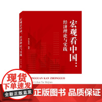 宏观看中国:经济理论与实践
