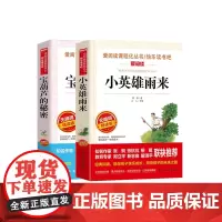 宝葫芦的秘密+小英雄雨来 全2册