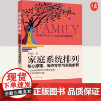 家庭系统排列:核心原理、操作实务与案例解析 化学工业出版社