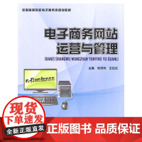 电子商务网站运营与管理(全国高等院校电子商务类规划教材)