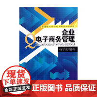 企业电子商务管理(普通高等学校电子商务专业教材)