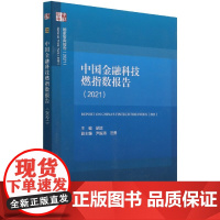 中国金融科技燃指数报告(2021)/国家智库报告