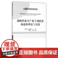 战略性新兴产业专利联盟构建的理论与实践/知识产权专题研究