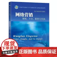 网络营销(策略、方法、案例与实践)