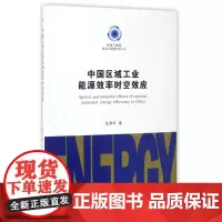 中国区域工业能源效率时空效应/资源与能源现实问题研究丛书