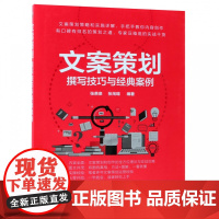 文案策划(撰写技巧与经典案例)