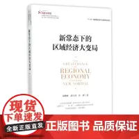 新常态下的区域经济大变局/大国大转型中国经济转型与创新发