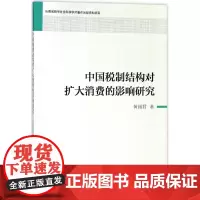 中国税制结构对扩大消费的影响研究