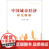 中国城市经济研究概观