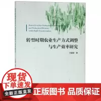 转型时期农业生产方式调整与生产效率研究