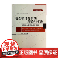 资金循环分析的理论与实践(中国资金循环的统计观察)/北京