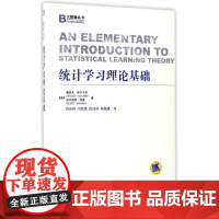 统计学习理论基础/大数据丛书