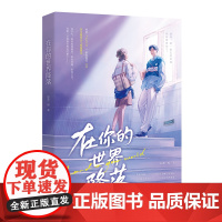 在你的世界降落 特签本飞机盒