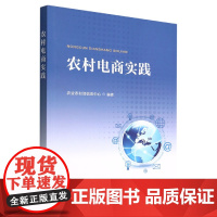 农村电商实践