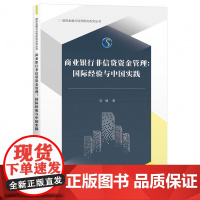 商业银行非信贷资金管理(国际经验与中国实践)/国际金融与