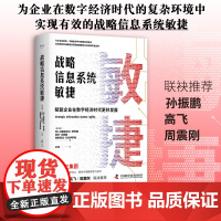 战略信息系统敏捷