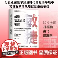 战略信息系统敏捷