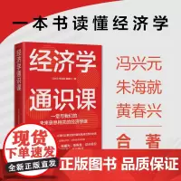 经济学通识课/新经济系列