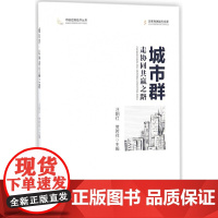城市群(走协同共赢之路)/中国宏观经济丛书