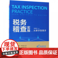 税务稽查实操从新手到高手