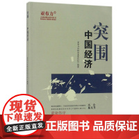 突围(中国经济)/亚布力企业思想家系列丛书