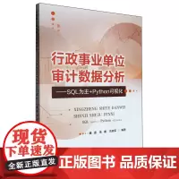 行政事业单位审计数据分析