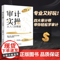 审计实操从入门到精通