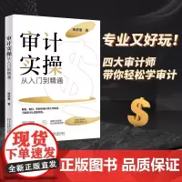 审计实操从入门到精通