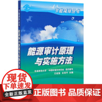 能源审计原理与实施方法/节能减排丛书