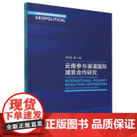 云南参与澜湄国际减贫合作研究/地缘政治理论创新高地研究丛