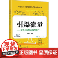 引爆流量:微信小程序运营与推广