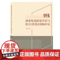 就业促进政策评估与组合优化问题研究