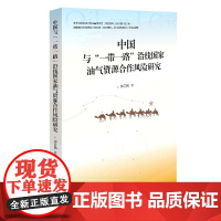 中国与“一带一路”沿线国家油气资源合作风险研究