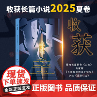 收获长篇小说2025夏卷 路内《山水》 马家辉《天恩和他的半个师父》小杜《漫游引力》 当代原创文学长篇小说集 上海文艺出