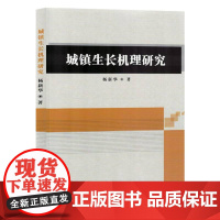 城镇生长机理研究