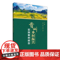贵州乡村振兴实践案例报告