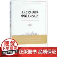 工业化后期的中国工业经济