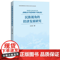 民族视角的经济发展研究