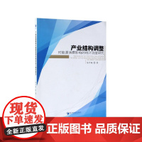 产业结构调整对能源消费影响的统计测度研究