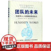 团队的未来(科技和人力资源的高效结合)(精)
