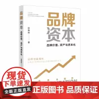 品牌资本——品牌价值、资产与资本化