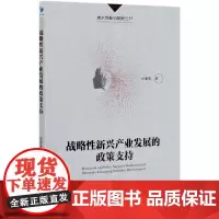 战略性新兴产业发展的政策支持/技术创新与发展丛书