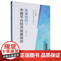 全球视野下中国平台经济发展报告