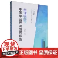 全球视野下中国平台经济发展报告