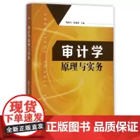 审计学原理与实务